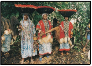 juju-hat-original-4-2-300x214.png