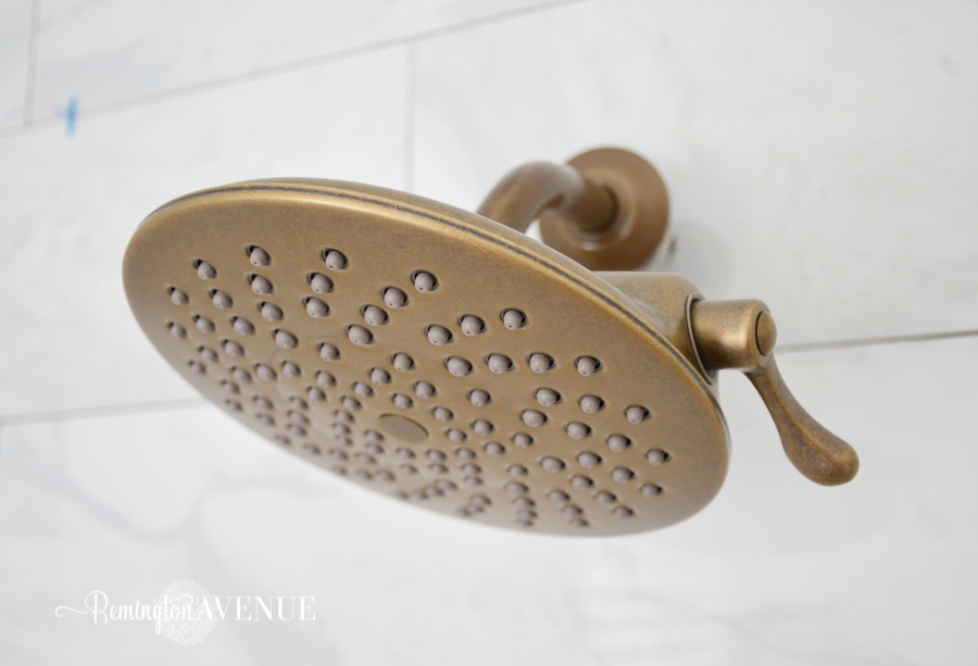 painted-shower-head