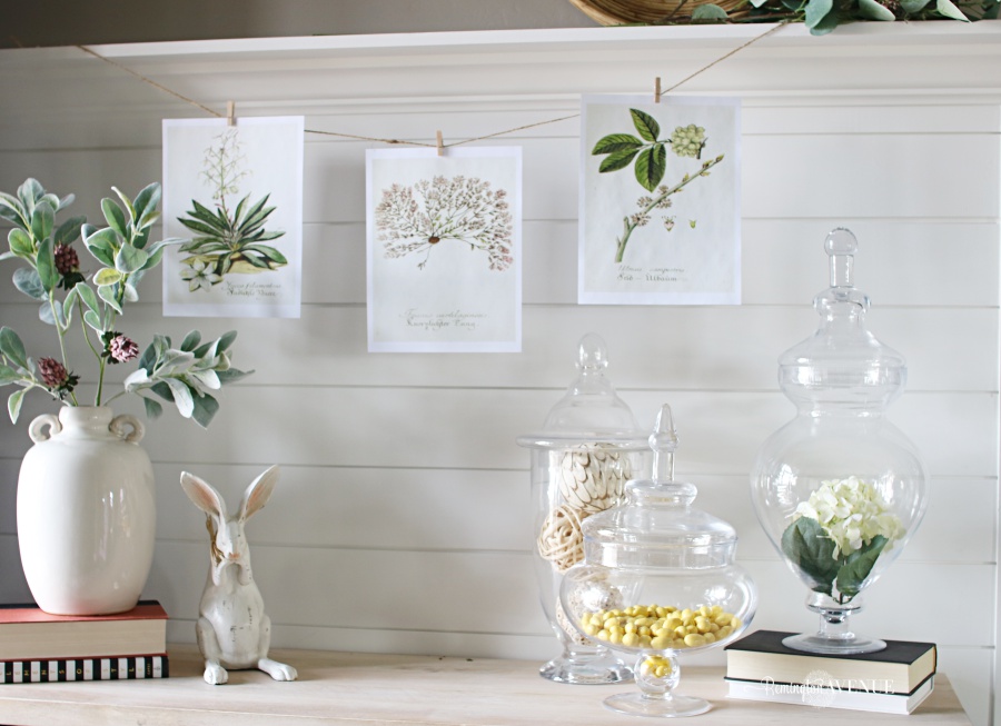 spring decorating- bringing life back into your home 