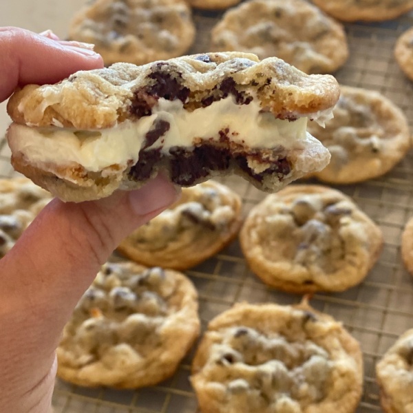 chewy chocolate chip coconut cookie sandwiches