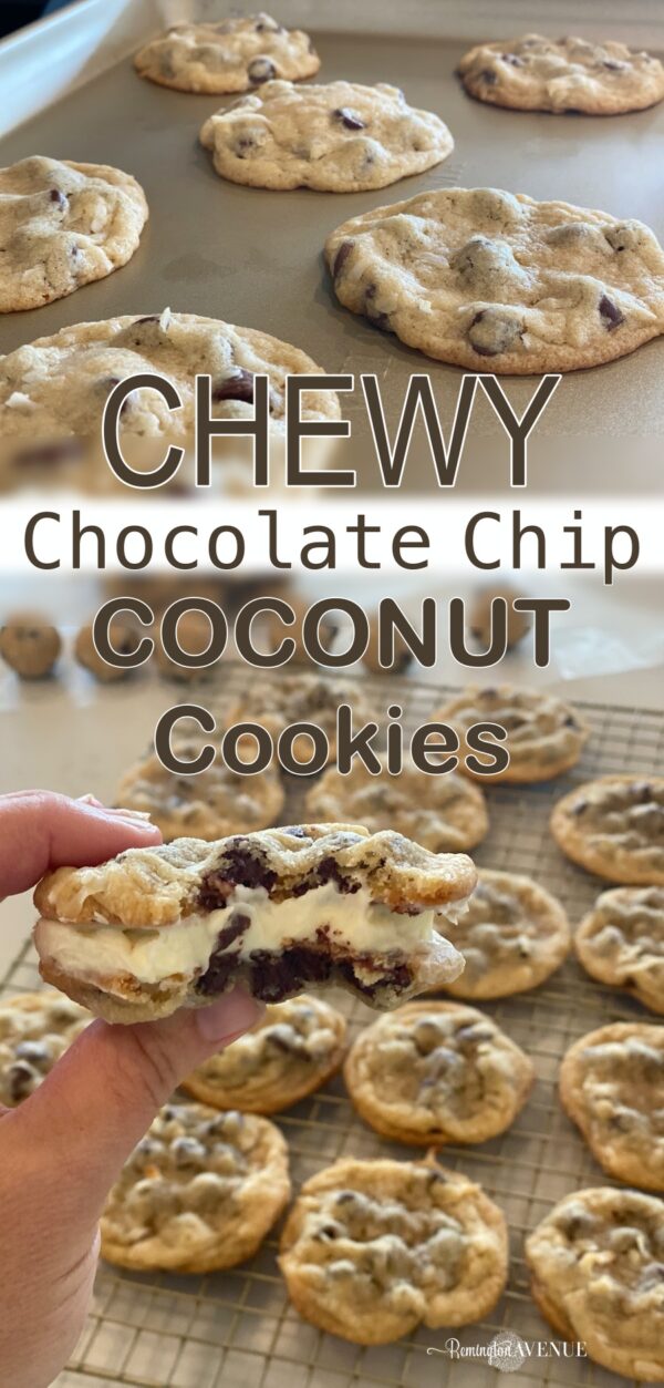 Chocolate chip coconut cookies - Remington Avenue