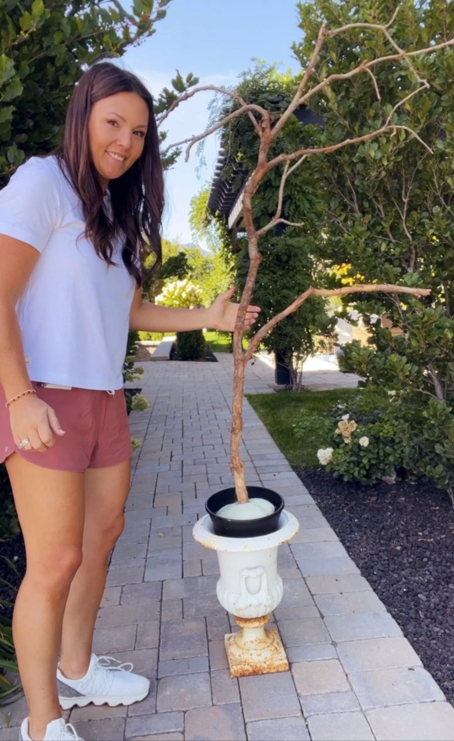 DIY Spooky Halloween Trees - Remington Avenue