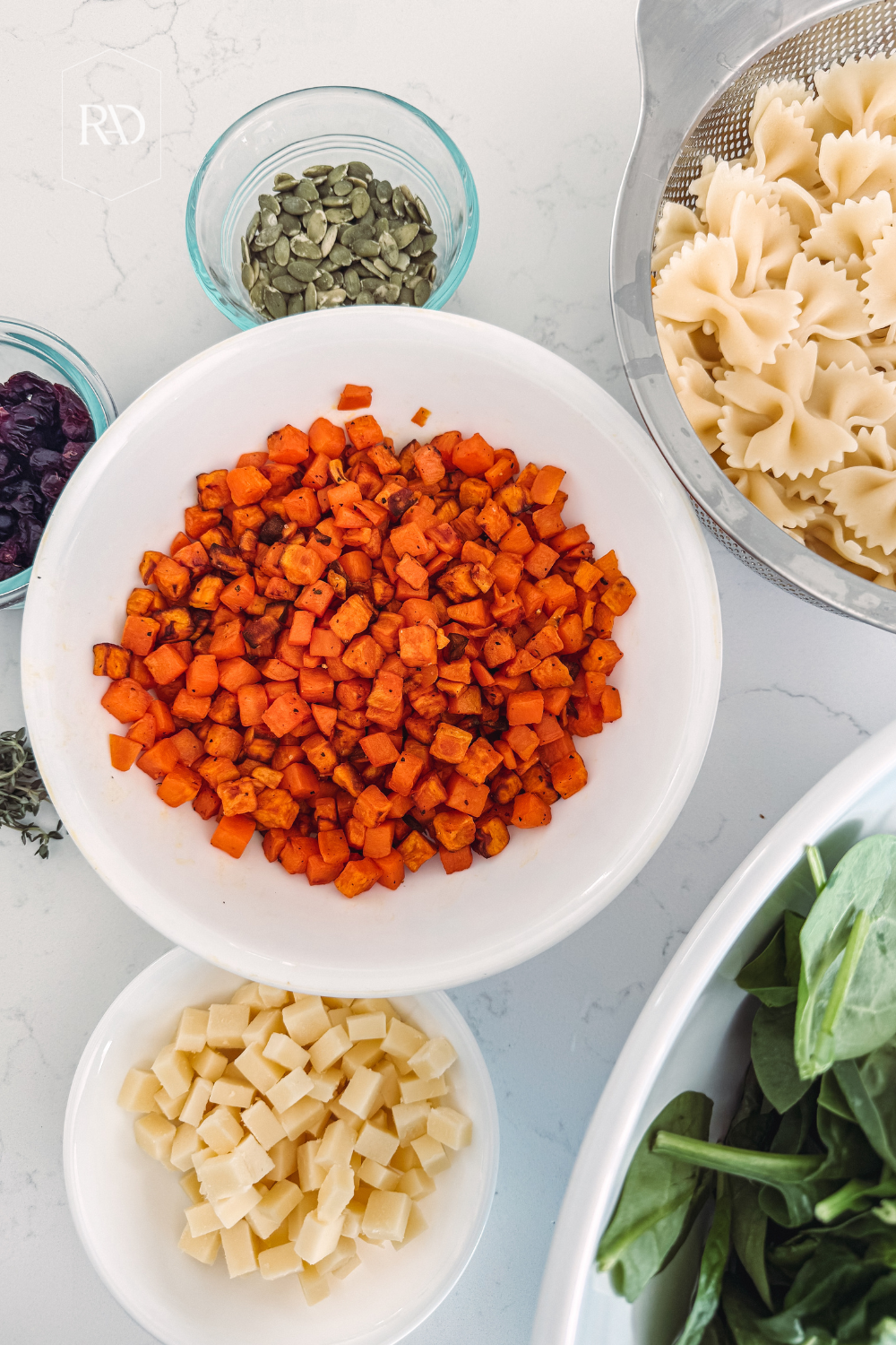 Fall Pasta Salad