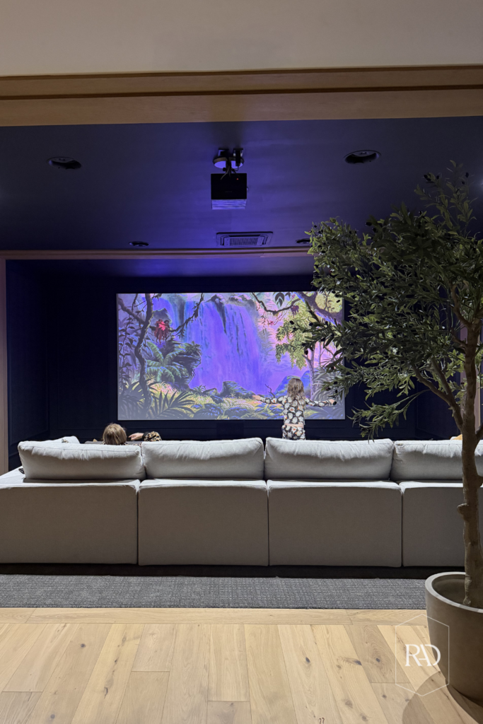 Theater Reveal 