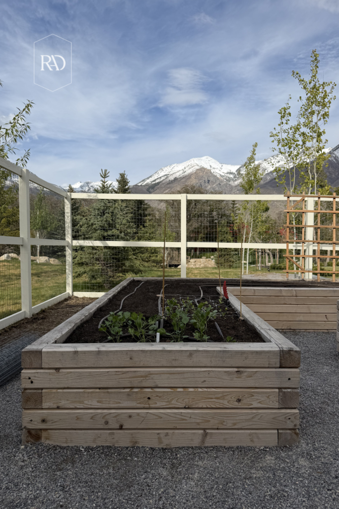 Beginner Gardening with Garden Beds