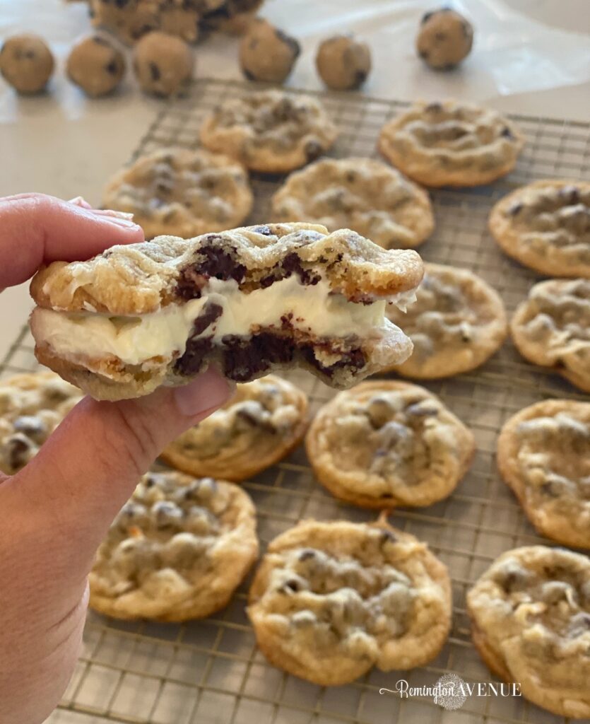 Chewy Chocolate Coconut Cookies