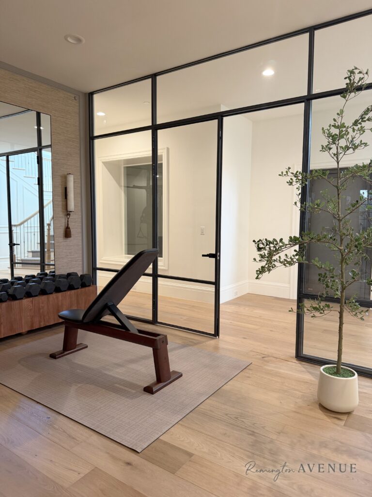 Luxe Gym Reveal